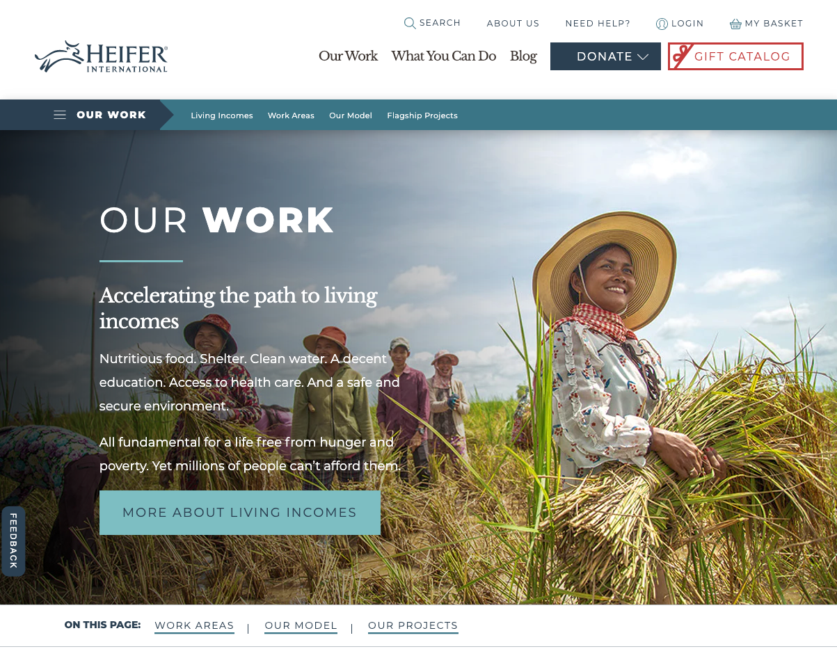 Screenshot of Heifer International website.